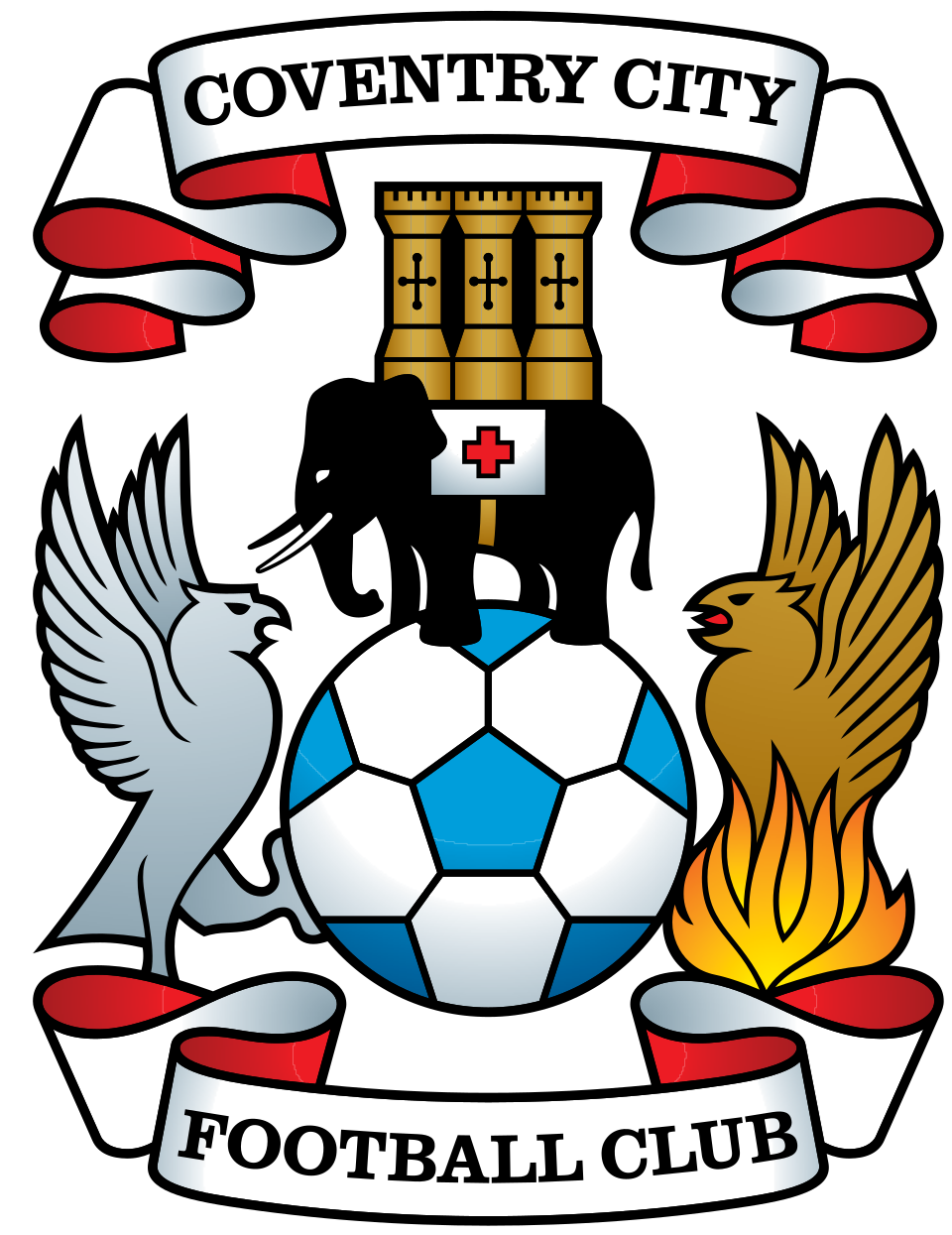 home team logo